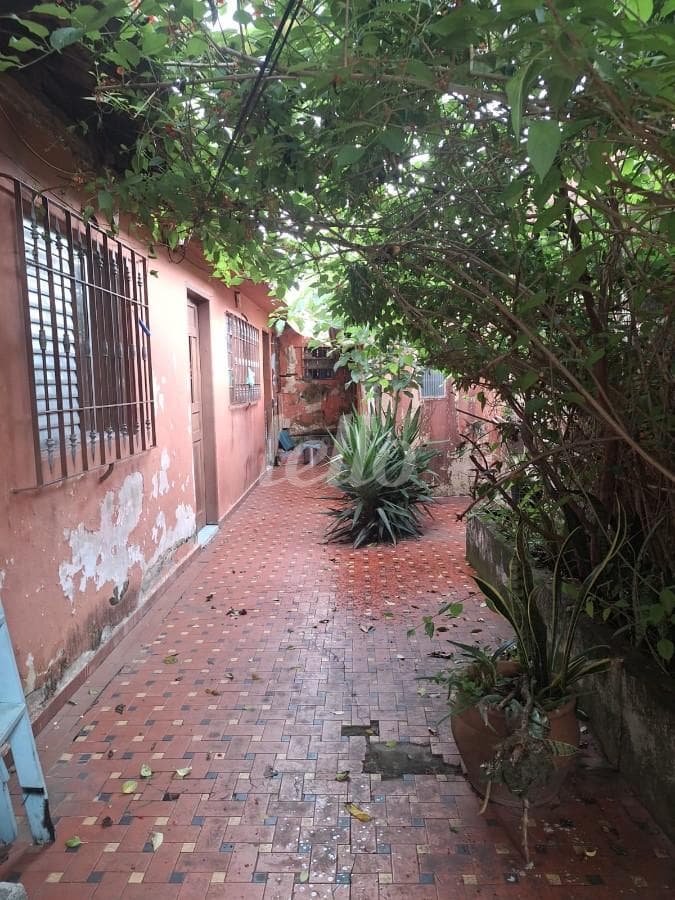 QUINTAL de Casa térrea com 80 m² em Vila Celeste - São Paulo
